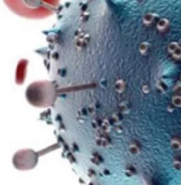 How is Leukemia developed and its warning signs